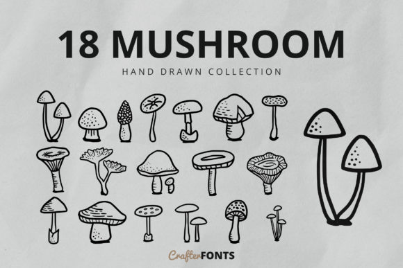 Download Hand Drawn Mushroom - Premium Bundle