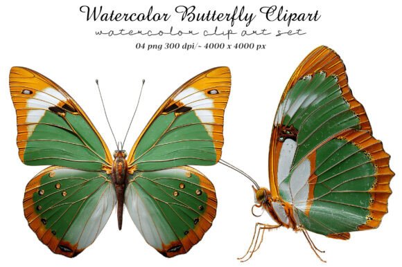 Download Watercolor Butterfly Clipart - Watercolor butterfly clipart Collection